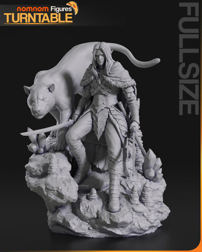 Drizzt Dourden - Baldurs Gate 3D Print Model