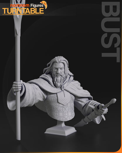 Gandalf the White - Lord of the Rings 3D Print Model