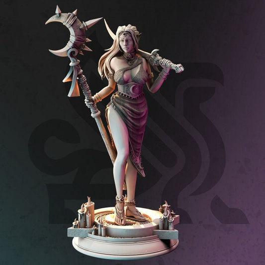 Drow Moon Priestess - Kadna Glyndrel-DM Stash - August Campaign - Dnd Figurines - One-Shot Campaign - Pre made Campaign