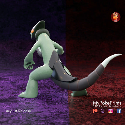 Cyclazard - Pokemon Unite Collectibles -Pokeball - Pokedex - 04mm layer height - Painted and Custom Gift Versions Available!