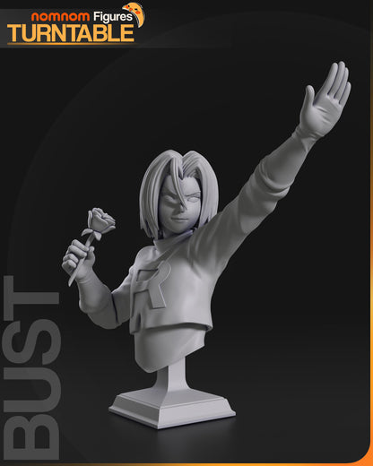 James - Pokemon 3D Print Model